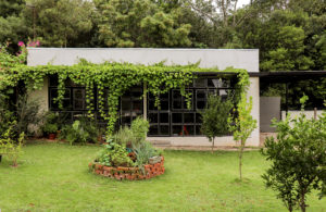 Edificação com volume retangular, pergolado em estrutura metálica preta com vegetação pendente, janelas quadriculadas pretas de metal. Fundo com bastante vegetação.